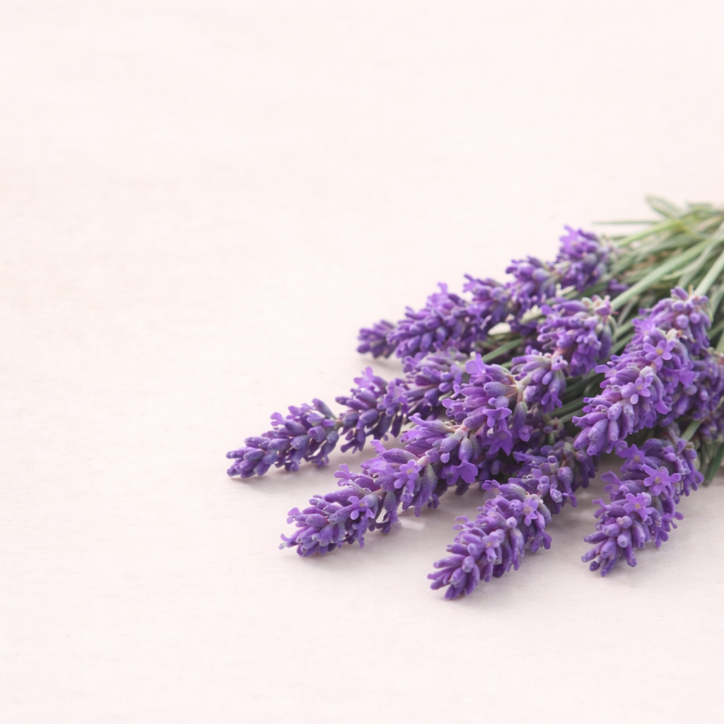 Raumduft Lavendel
