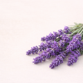 Raumduft Lavendel
