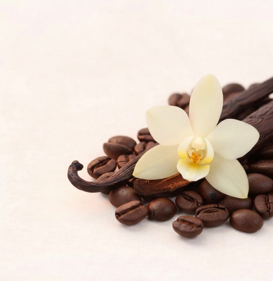 Autoduft Kaffee Vanille