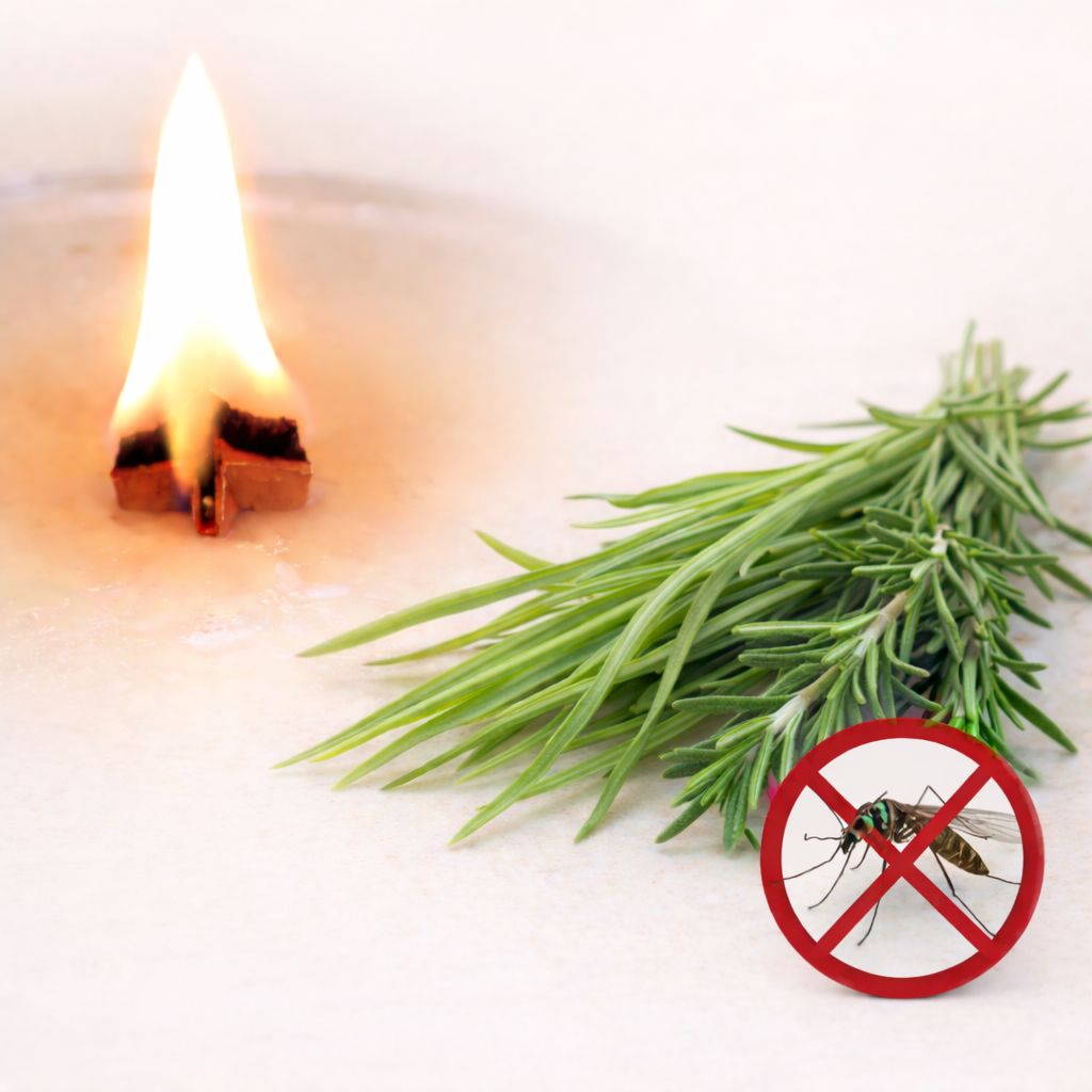 Holzdochtkerze Anti Insekt