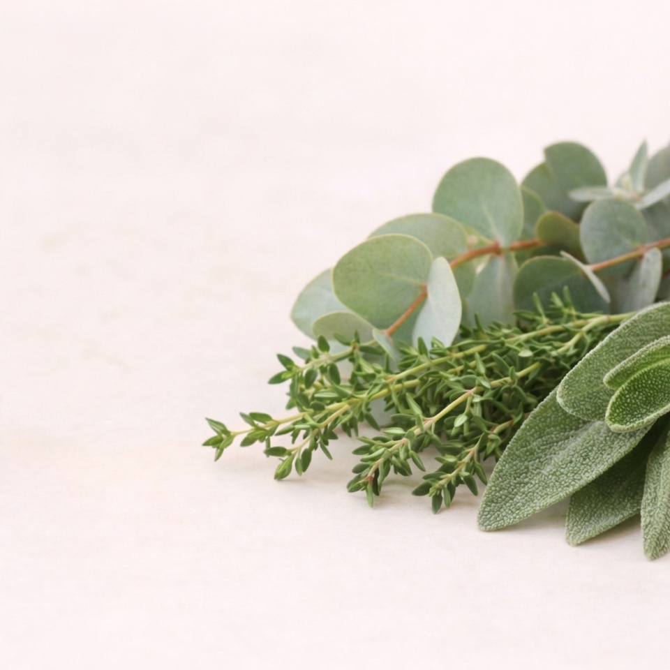 Autoduft Erkältungszeit