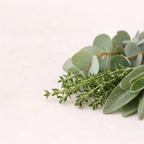 Autoduft Erkältungszeit