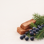 Duftwachs Waldspaziergang